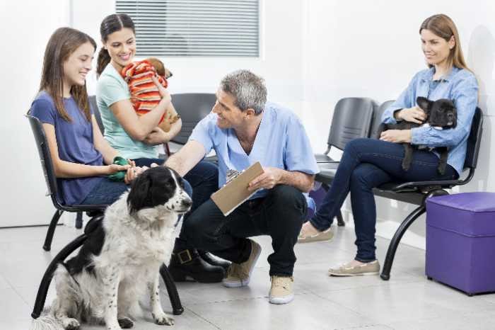 Veterinarian talking to young woman