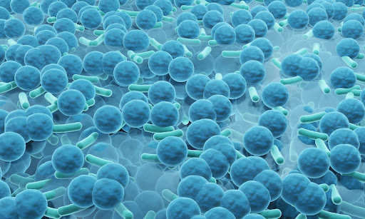 Image of drug resistant biofilm