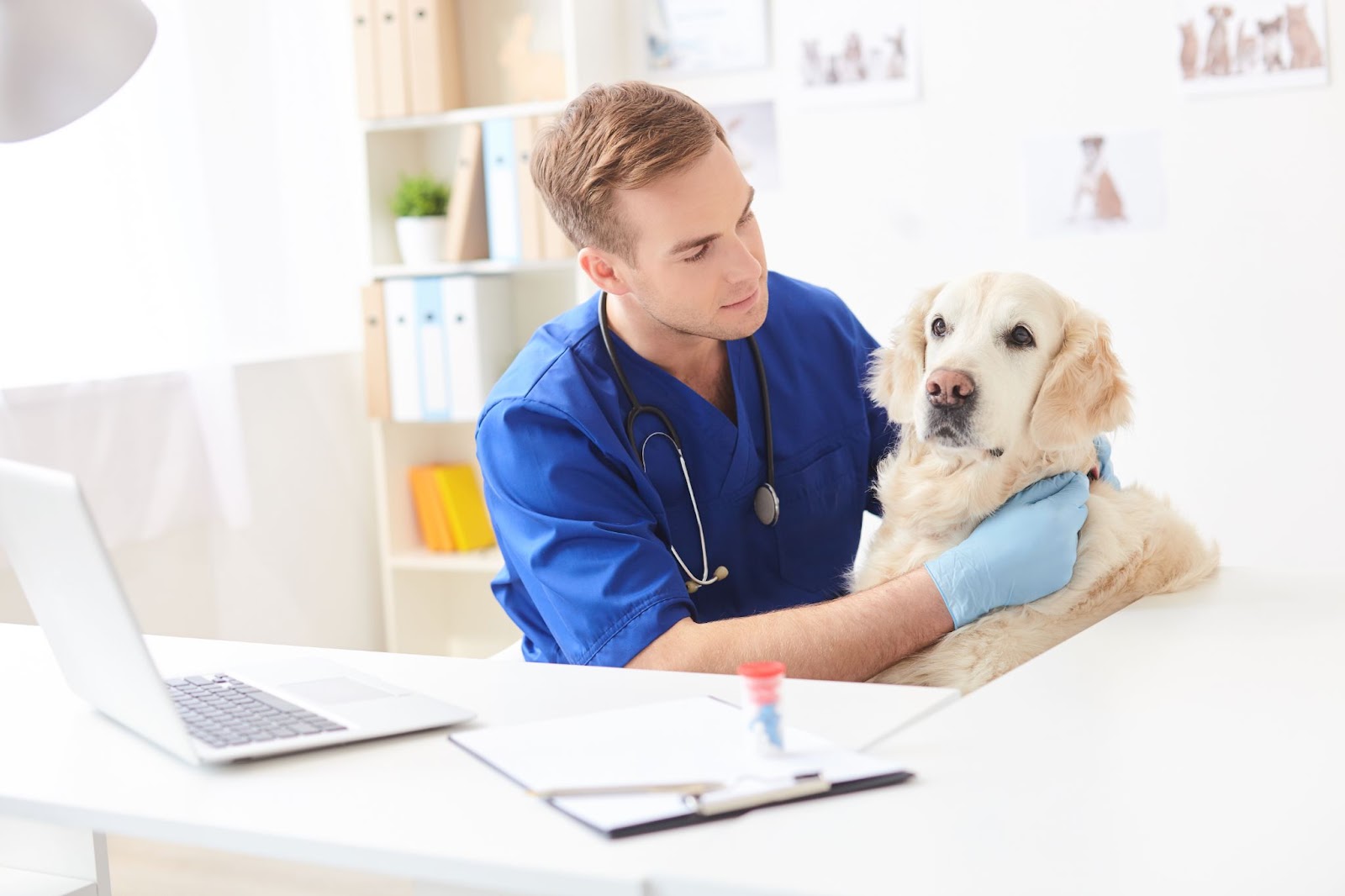 Veterinarian with a dog at his desk