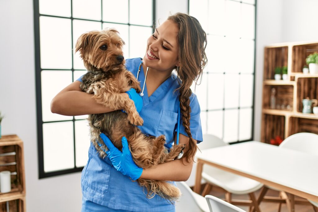 Image of veterinarian holding a dog